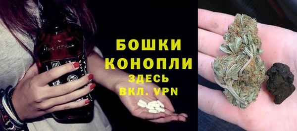 ПСИЛОЦИБИНОВЫЕ ГРИБЫ Белокуриха